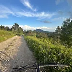 Mountain Istria - Stone Ii