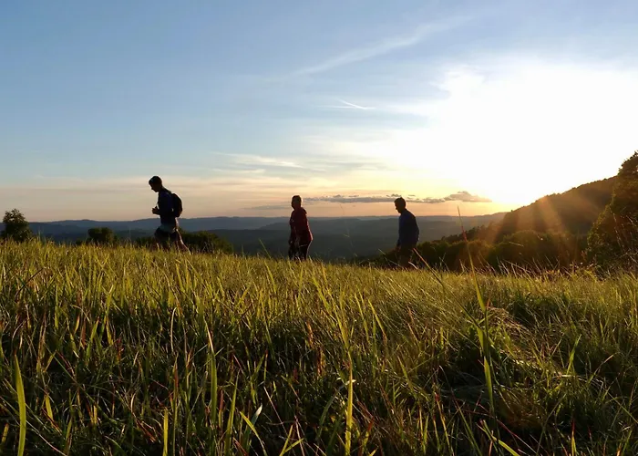 Mountain Istria - Stone Ii
