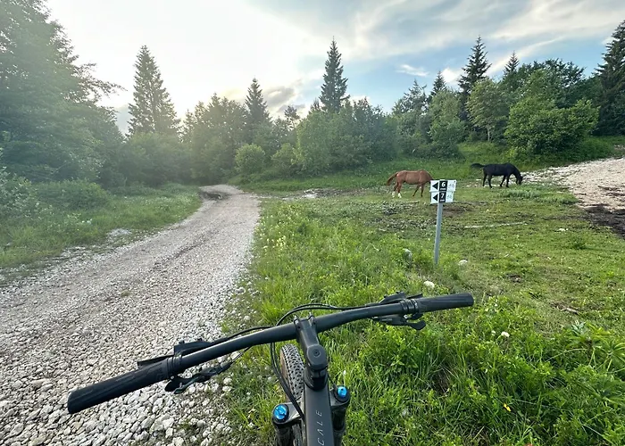 Mountain Istria - Stone Ii *